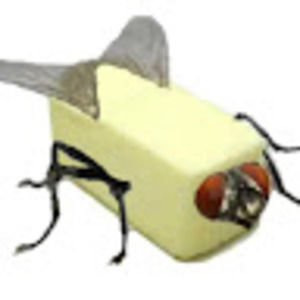 Meet your Posher, Fatima